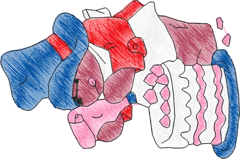 Paddington Bear3 (12)